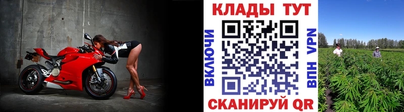 Купить наркотики цена Старый Оскол Галлюциногенные грибы  Cocaine  ГАШИШ  Конопля  Альфа ПВП 