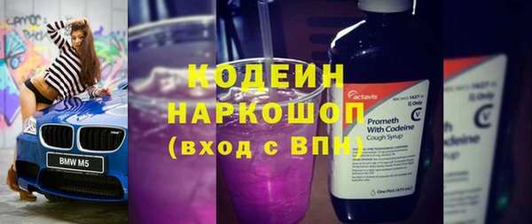 ешки Гусь-Хрустальный