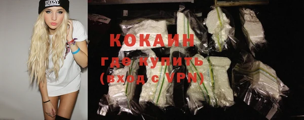 ешки Гусь-Хрустальный