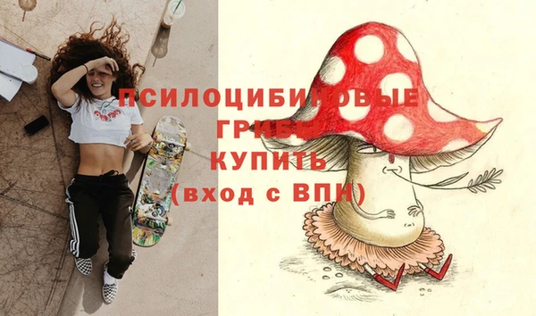 ешки Гусь-Хрустальный