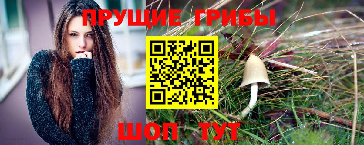 Галлюциногенные грибы Psilocybine cubensis  Псилоцибиновые грибы GOLDEN TEACHER  Вход с VPN  Старый Оскол 